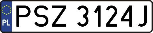 PSZ3124J