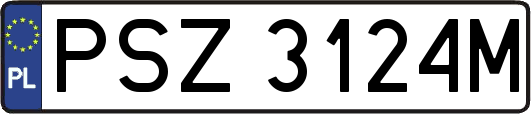 PSZ3124M