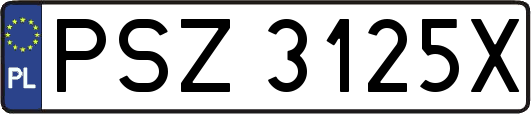 PSZ3125X
