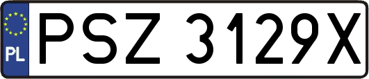 PSZ3129X
