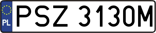 PSZ3130M