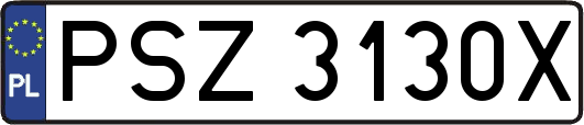 PSZ3130X