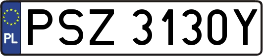 PSZ3130Y