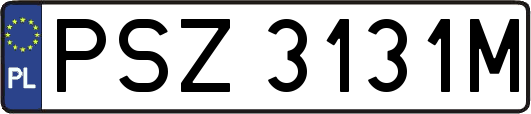 PSZ3131M
