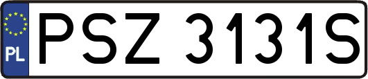 PSZ3131S