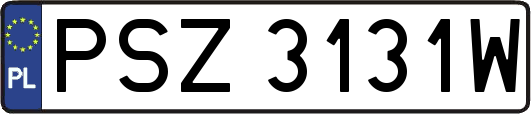 PSZ3131W