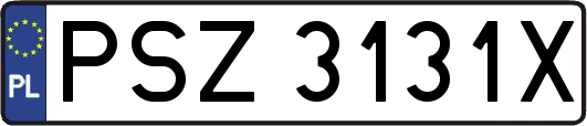 PSZ3131X