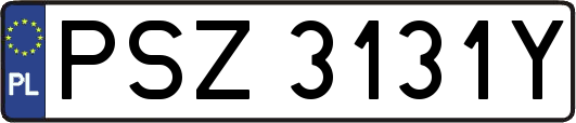 PSZ3131Y
