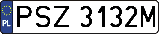 PSZ3132M