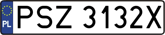 PSZ3132X