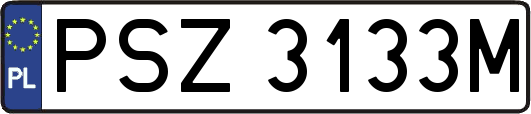 PSZ3133M