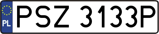 PSZ3133P