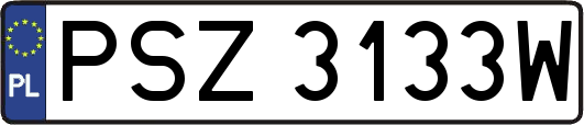 PSZ3133W