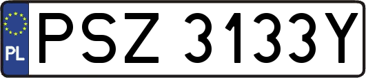 PSZ3133Y