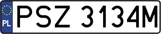 PSZ3134M