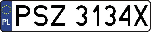 PSZ3134X
