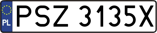 PSZ3135X