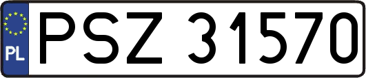 PSZ31570