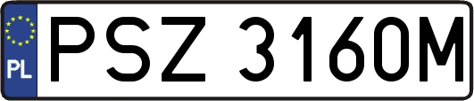 PSZ3160M