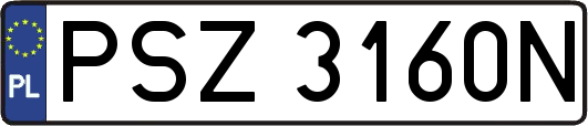 PSZ3160N