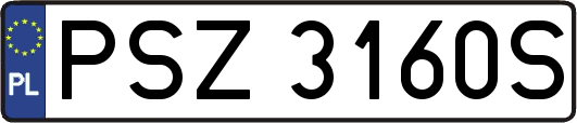 PSZ3160S