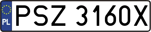 PSZ3160X