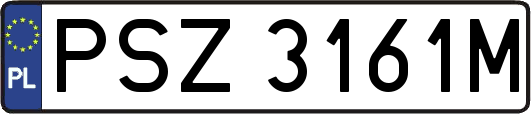 PSZ3161M
