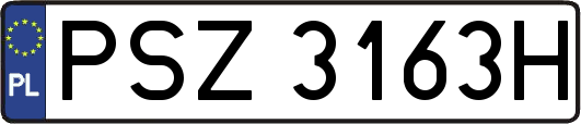 PSZ3163H