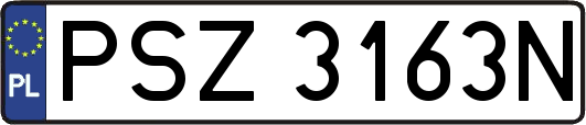 PSZ3163N
