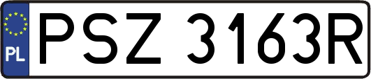 PSZ3163R