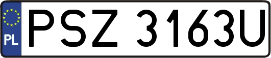PSZ3163U