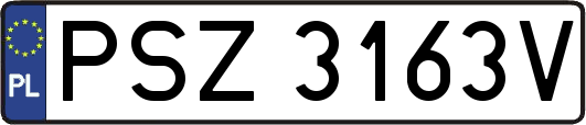 PSZ3163V