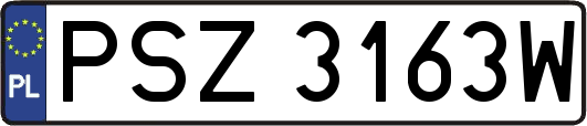 PSZ3163W