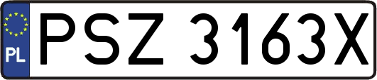 PSZ3163X