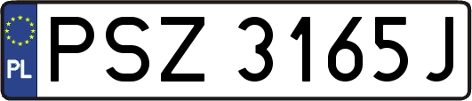 PSZ3165J