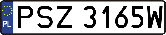 PSZ3165W