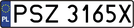 PSZ3165X