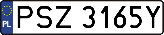 PSZ3165Y