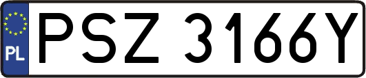 PSZ3166Y