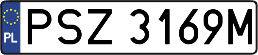 PSZ3169M