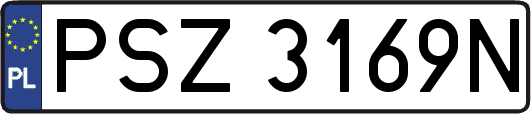 PSZ3169N