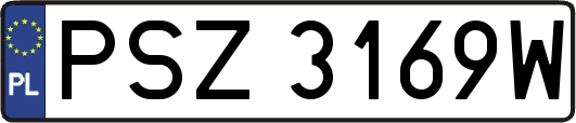 PSZ3169W
