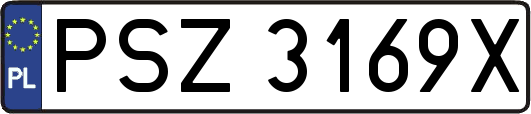 PSZ3169X