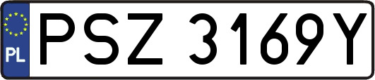 PSZ3169Y