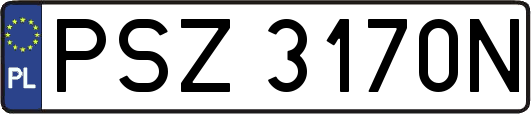 PSZ3170N