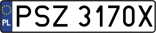 PSZ3170X