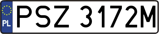 PSZ3172M