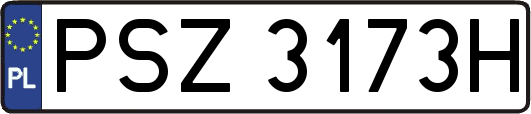PSZ3173H