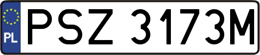 PSZ3173M