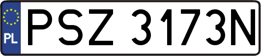 PSZ3173N